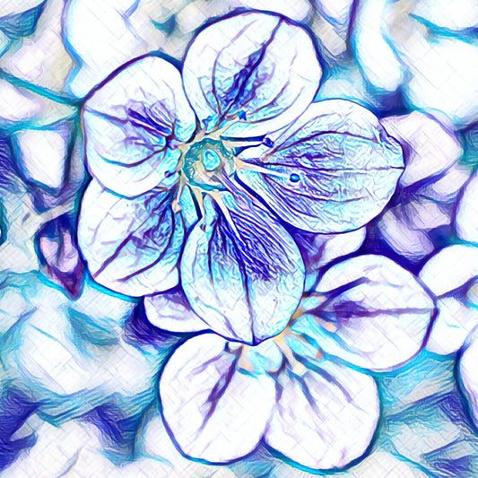 Bikini Bottom Cherry Blossom