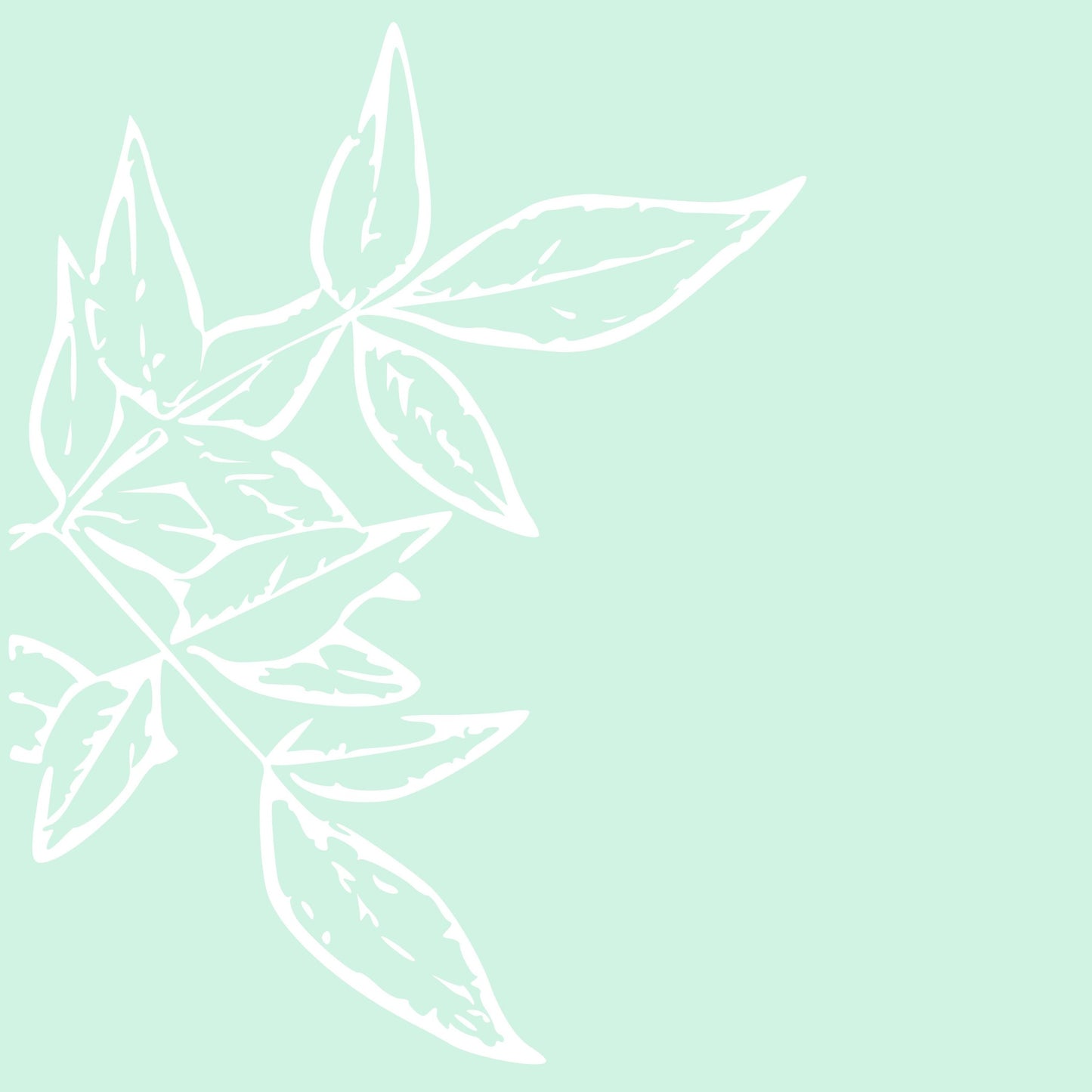 aisoi Bikini Top Laurel Leaf
