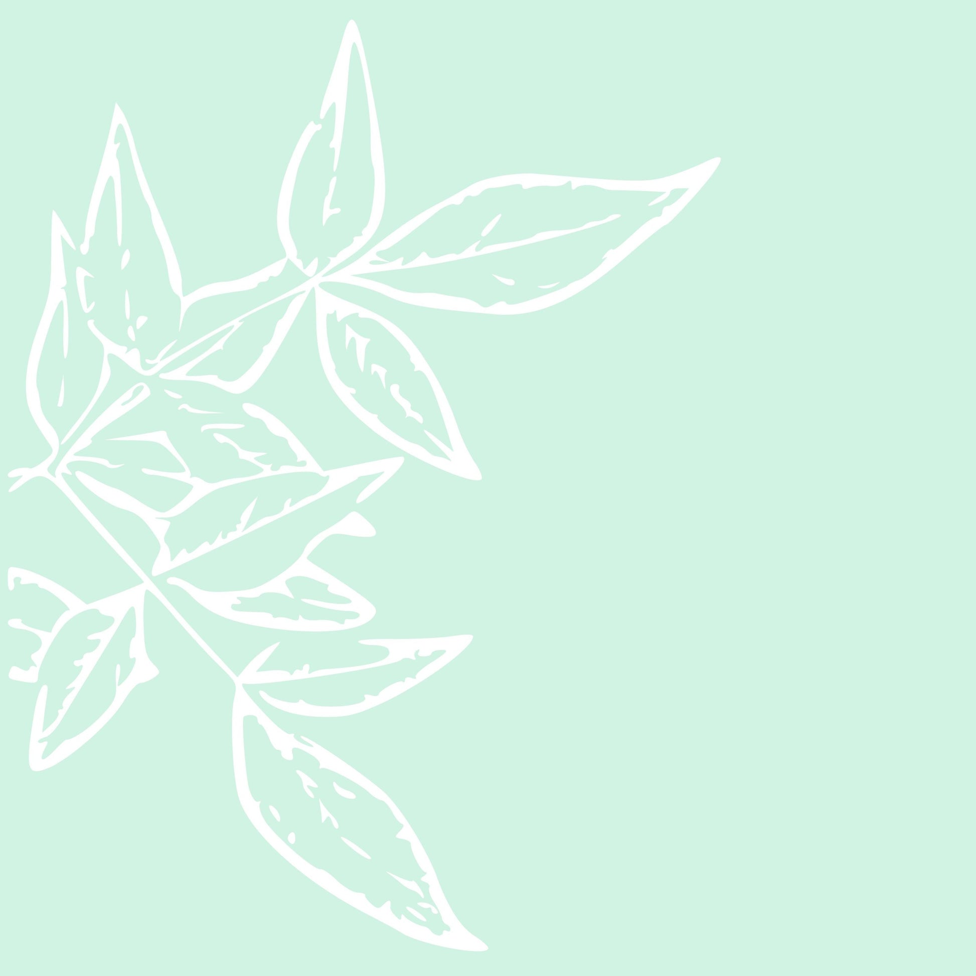 aisoi Bikini Top Laurel Leaf