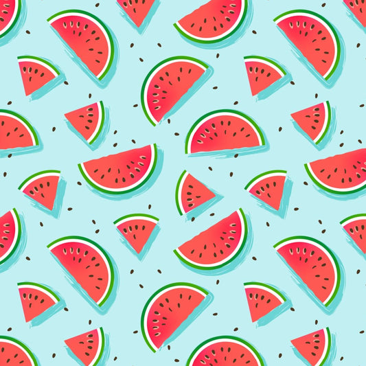 aisoi Bikini Top | Watermelon Bliss