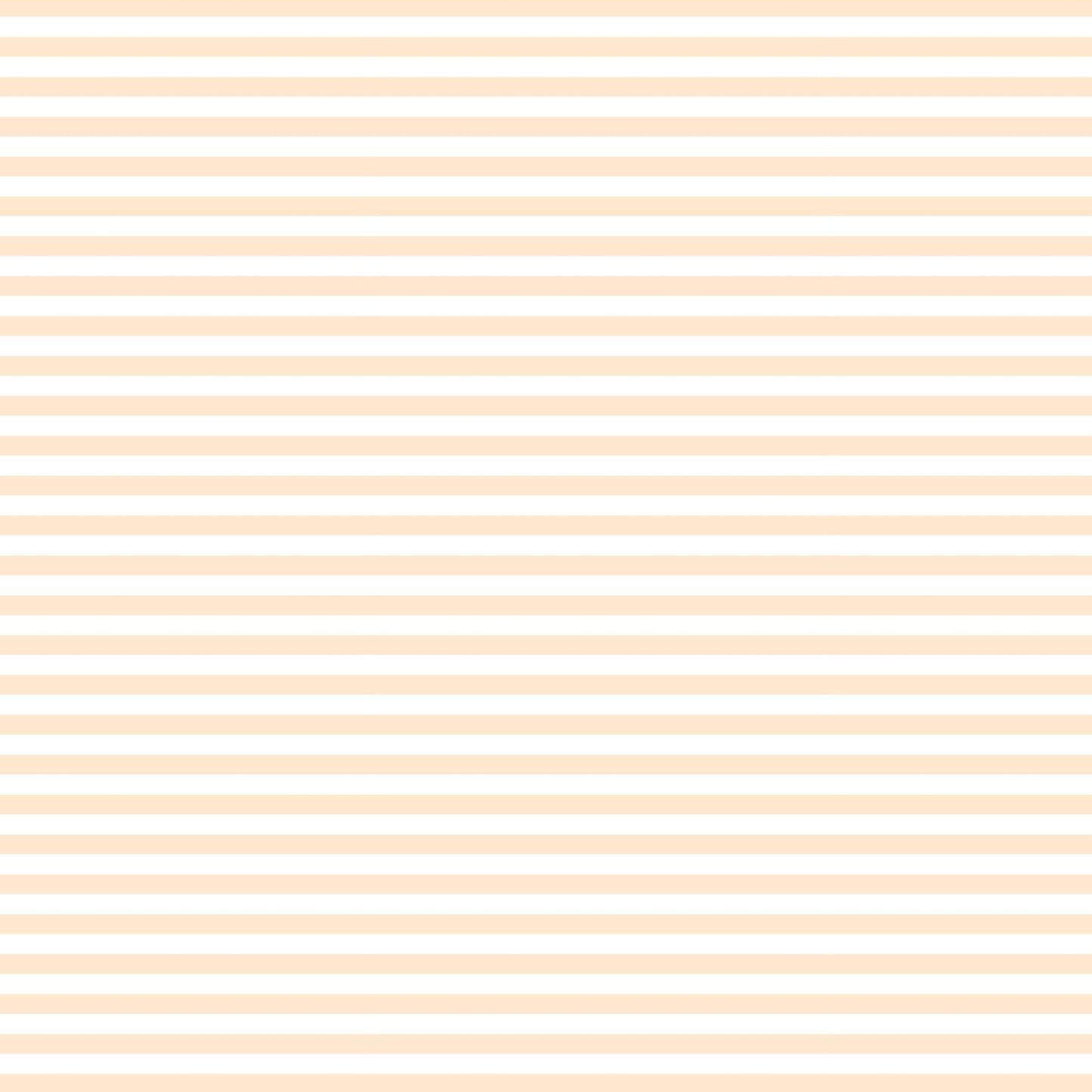 String Bikini Bottom | Pastel Peach - Stripes by aisoi Swimwear & Beachwear