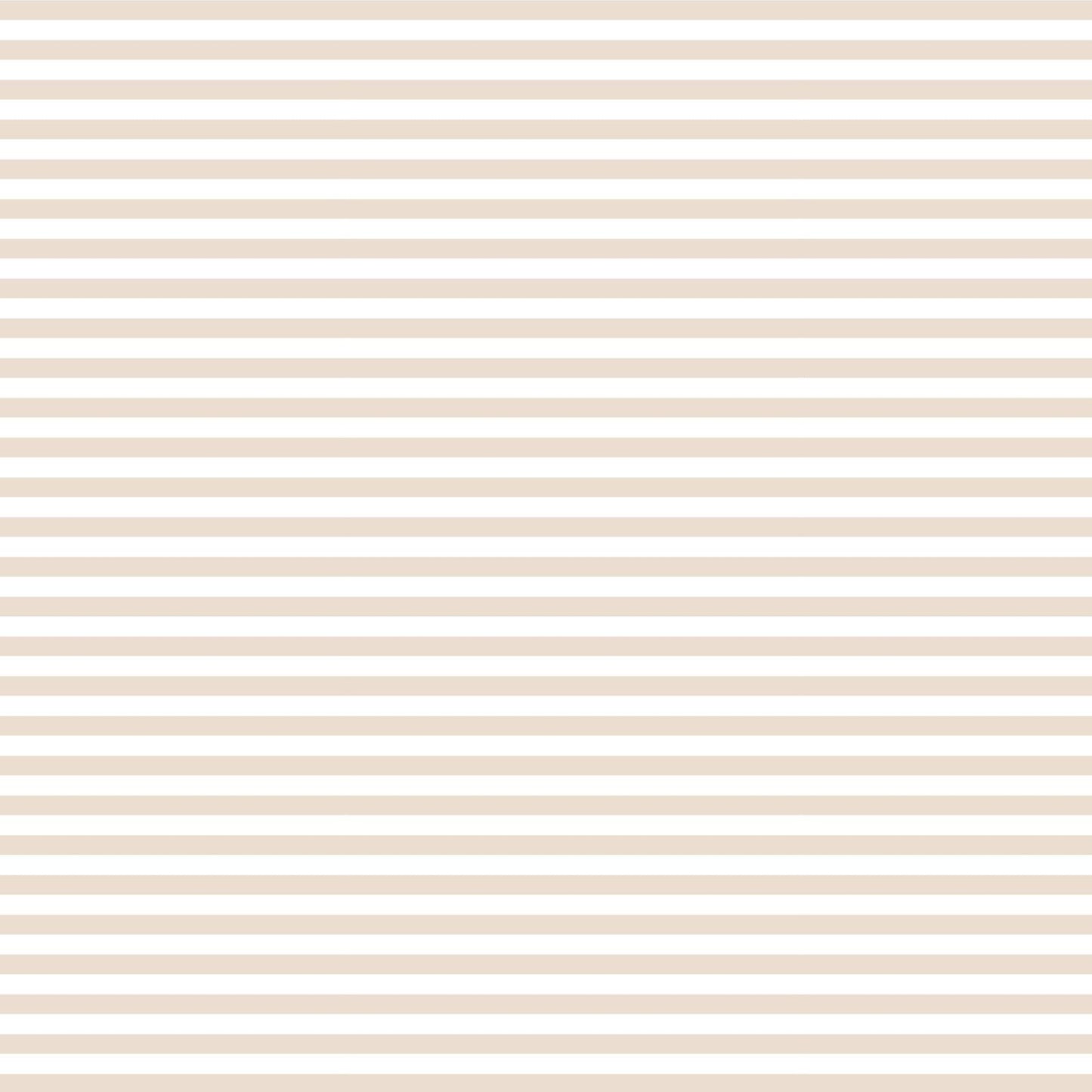 String Bikini Bottom | Pastel Sand - Stripes by aisoi Swimwear & Beachwear