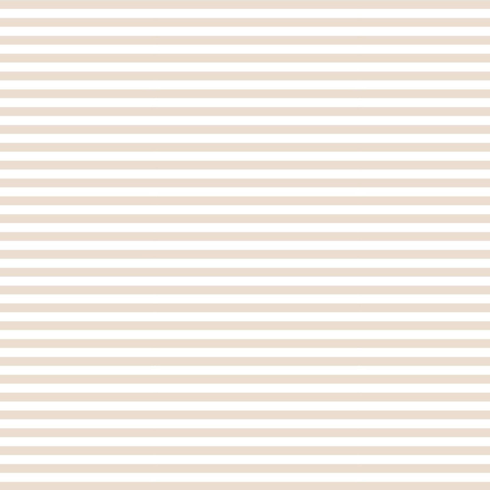 String Bikini Bottom | Pastel Sand - Stripes by aisoi Swimwear & Beachwear